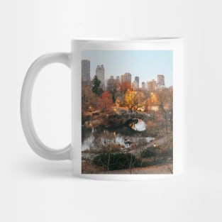 Central Park Sunset Mug